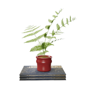 花瓶摆件植物摆件 ID：E02201066