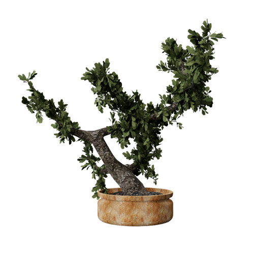 茶室植物盆栽摆件 ID：E02201108