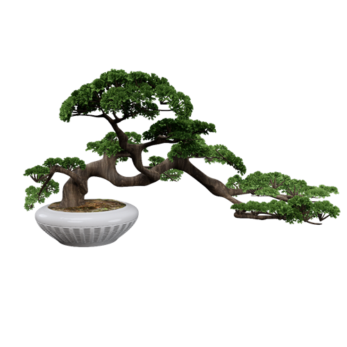 茶室植物盆栽摆件 ID：E02201156
