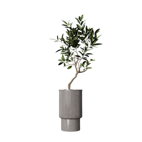 茶室植物盆栽摆件 ID：E02201167