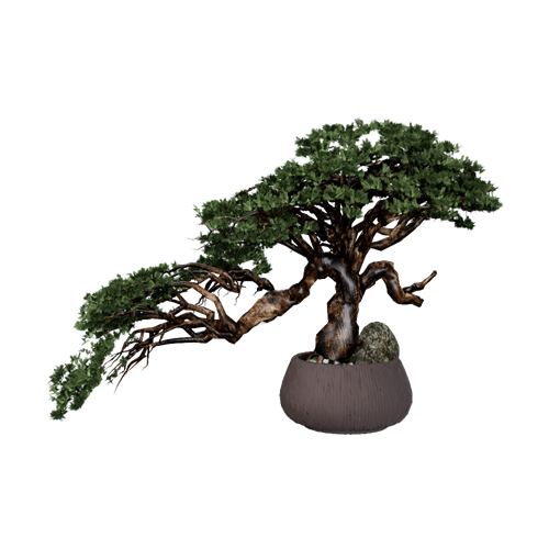 茶室植物盆栽摆件 ID：E02201198