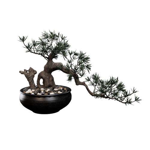 茶室植物盆栽摆件 ID：E02201203