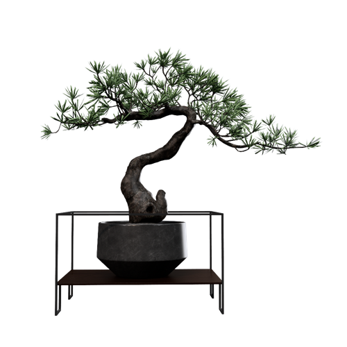 茶室植物盆栽摆件 ID：E02201272