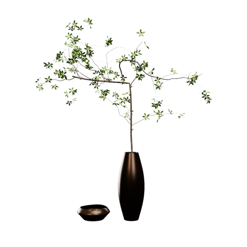 植物 ID：E02201313