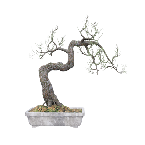 植物 ID：E02201322