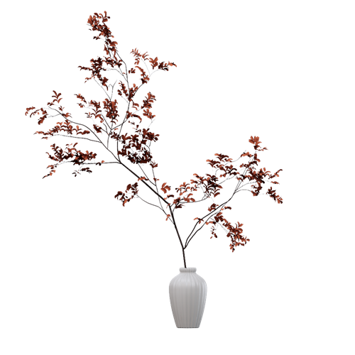 植物 ID：E02201334