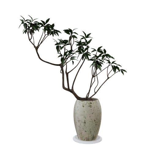 植物 ID：E02201464