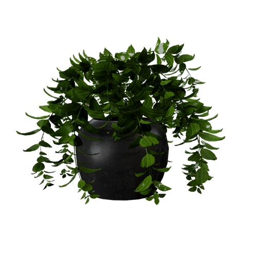 植物 ID：E02201469