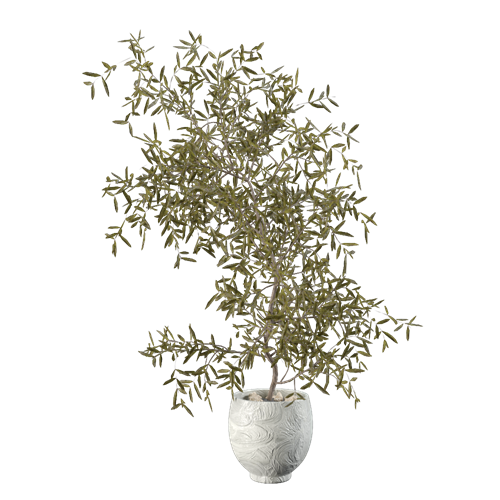 侘寂风植物装饰花瓶侘寂风盆栽 ID：E02201800