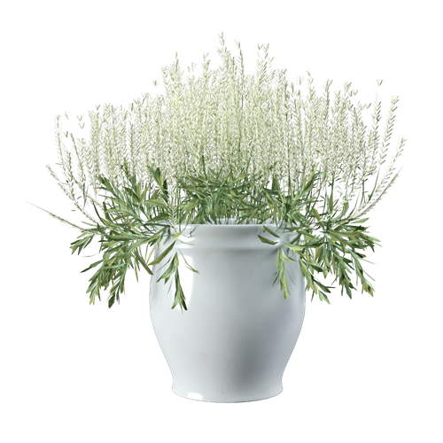 侘寂风植物装饰花瓶侘寂风盆栽 ID：E02201804