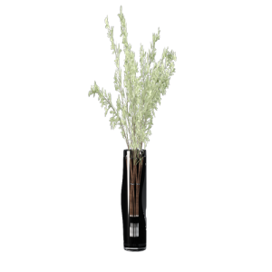 侘寂风植物装饰花瓶侘寂风盆栽 ID：E02201833