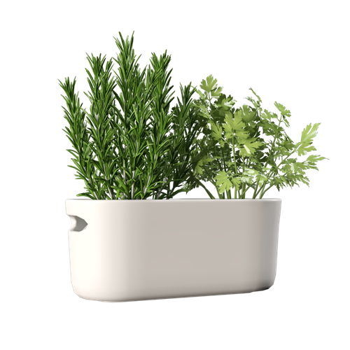 蔬菜摆件厨房摆件厨具 ID：E02900013