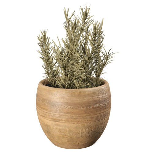 植物摆件 ID：E02900145
