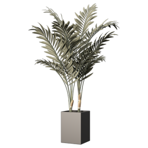 现代植物花盆摆件 ID：E02900157