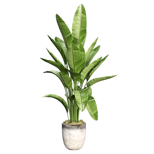 现代植物摆件 ID：E02900169