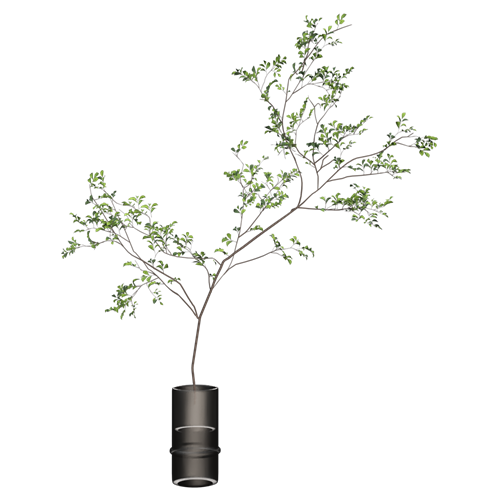 植物摆件 ID：E02900201