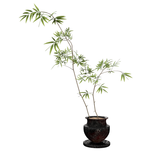 植物摆件 ID：E02900213