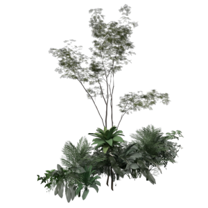 植物摆件绿植 ID：E02900309