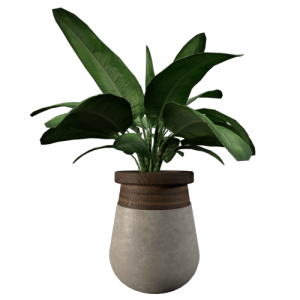 植物摆件绿植花瓶 ID：E02900316