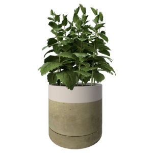 植物摆件绿植花瓶 ID：E02900320