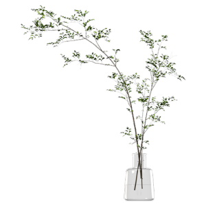 植物摆件绿植花瓶 ID：E02900350