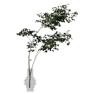 植物摆件绿植花瓶 ID：E02900367