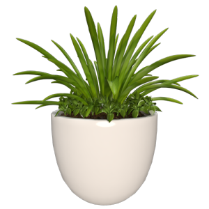 植物摆件绿植花瓶 ID：E02900401