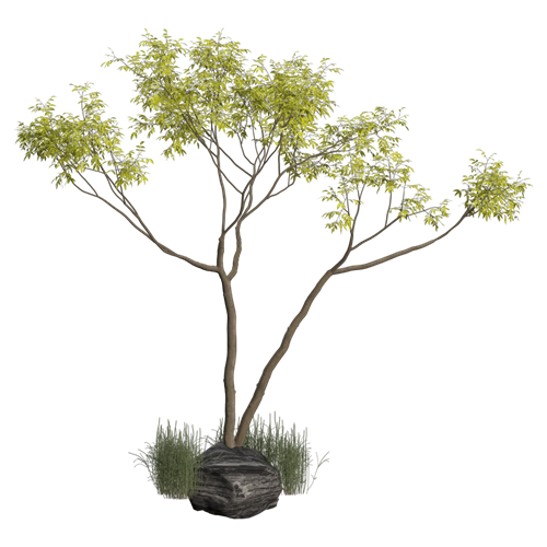 植物摆件绿植花瓶 ID：E02900441