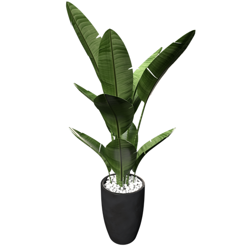 绿植植物摆件 ID：E02202501