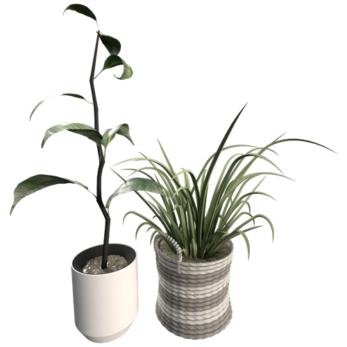 绿植植物摆件 ID：E02202516