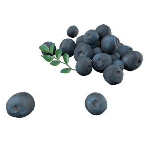 水果蓝莓 ID：E02202532
