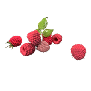 水果树莓 ID：E02202533