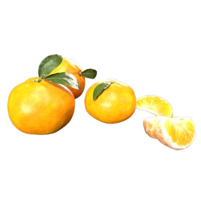水果柑橘 ID：E02202535