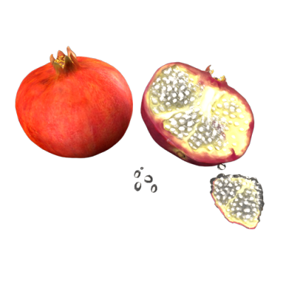 水果石榴 ID：E02202539
