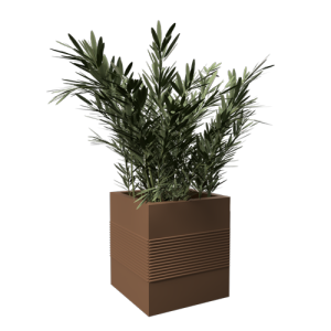 植物摆件 ID：E02202773