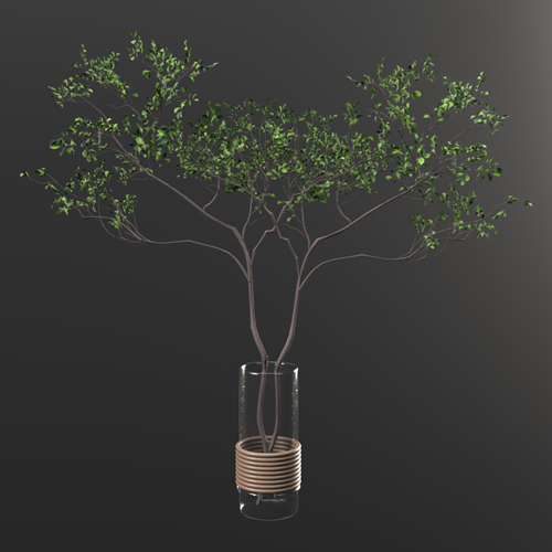 植物摆件 ID：E02200562