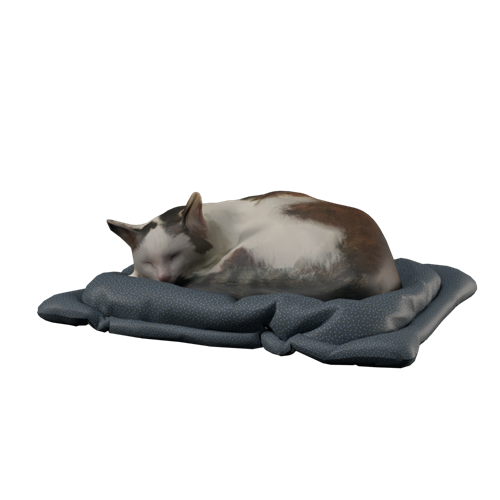 萌宠猫 ID：E02300013
