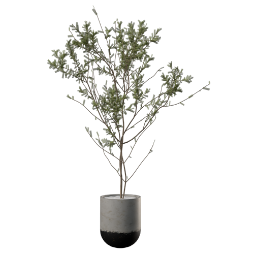 植物摆件盆栽 ID：E02300019