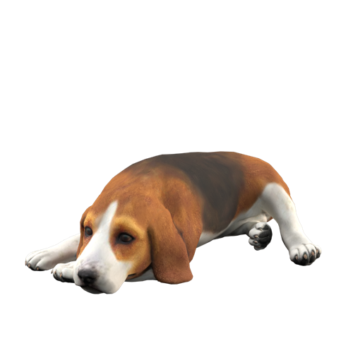 萌宠狗 ID：E02300024