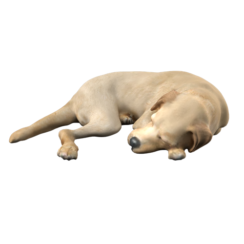萌宠狗 ID：E02300026