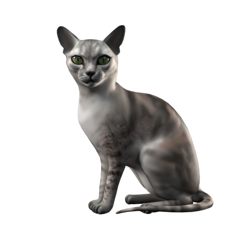 萌宠猫 ID：E02300030