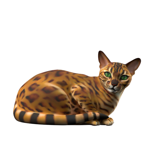 萌宠猫 ID：E02300031
