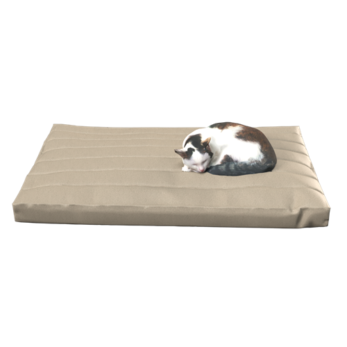 萌宠猫 ID：E02300032