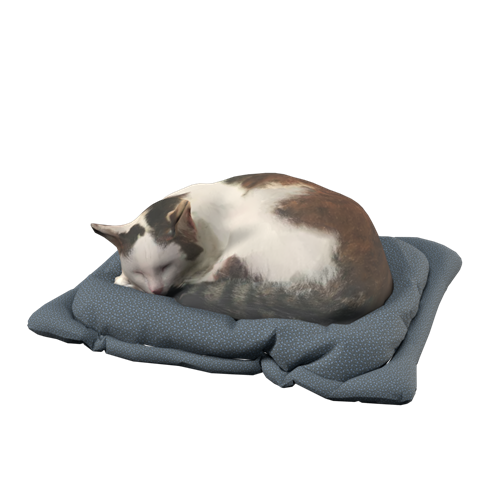 萌宠猫 ID：E02300035