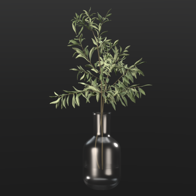 植物盆栽植物装饰现代植物花瓶 ID：E02203030