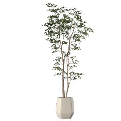 植物盆栽植物装饰现代植物花瓶 ID：E02203041