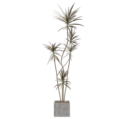 植物盆栽植物装饰现代植物花瓶 ID：E02203083
