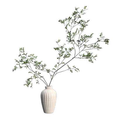 植物盆栽植物装饰现代植物花瓶 ID：E02203086