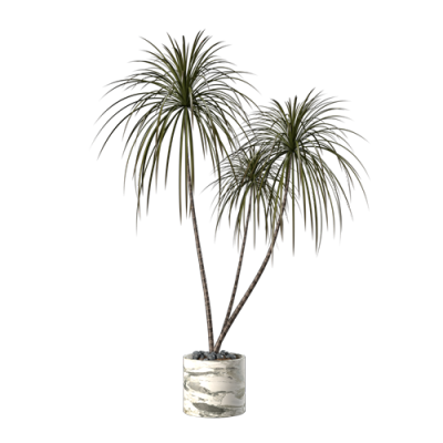 植物盆栽植物装饰现代植物花瓶 ID：E02203115