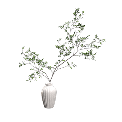 植物盆栽植物装饰现代植物花瓶 ID：E02203126